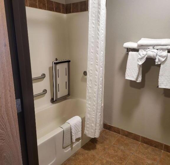 اتاق استاندارد با تخت بزرگ برای معلولان, Best Western Sawtooth Inn And Suites
