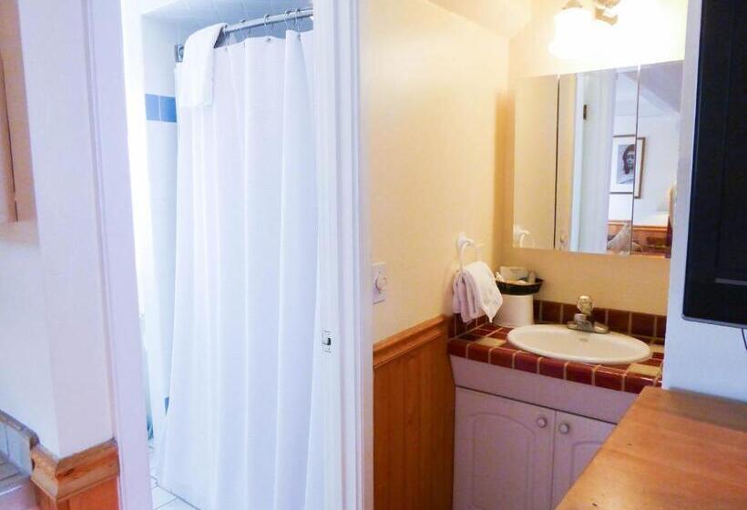 اتاق استاندارد با تخت بزرگ, Briarwood Inn