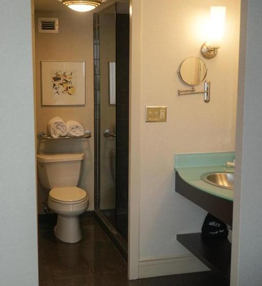سوئیت با تخت بزرگ, Crowne Plaza Syracuse, An Ihg