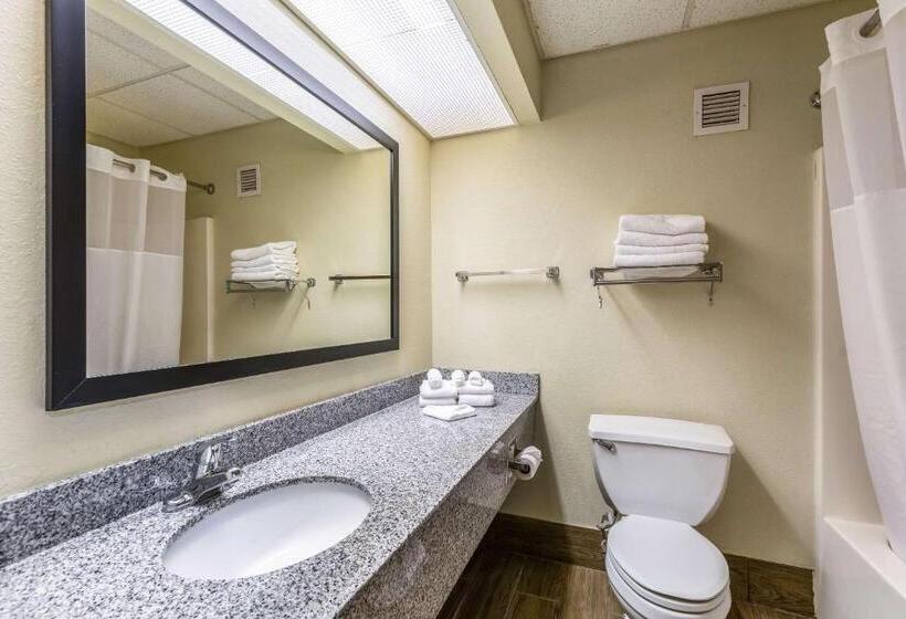 Standard Room Adapted for people with reduced mobility, Quality Inn & Suites