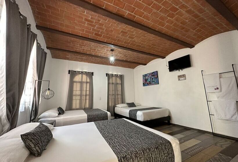اتاق خانوادگی, Casa Malva Sweet Stay
