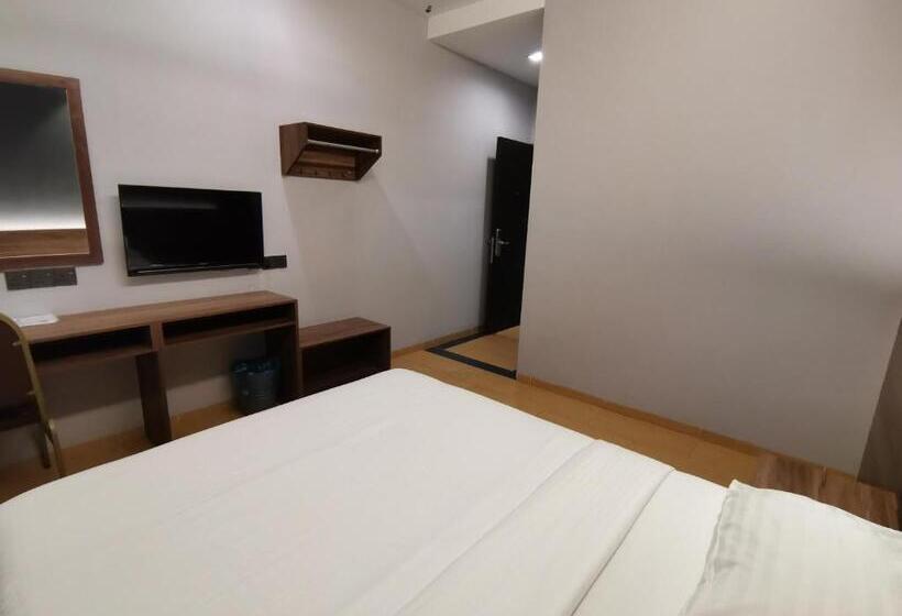 Quarto Estandar, Lumut
