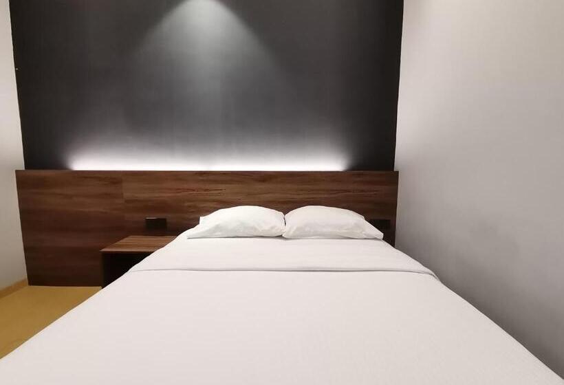 Quarto Estandar, Lumut