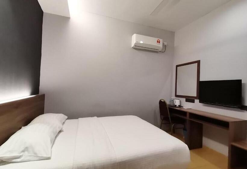 Quarto Estandar, Lumut