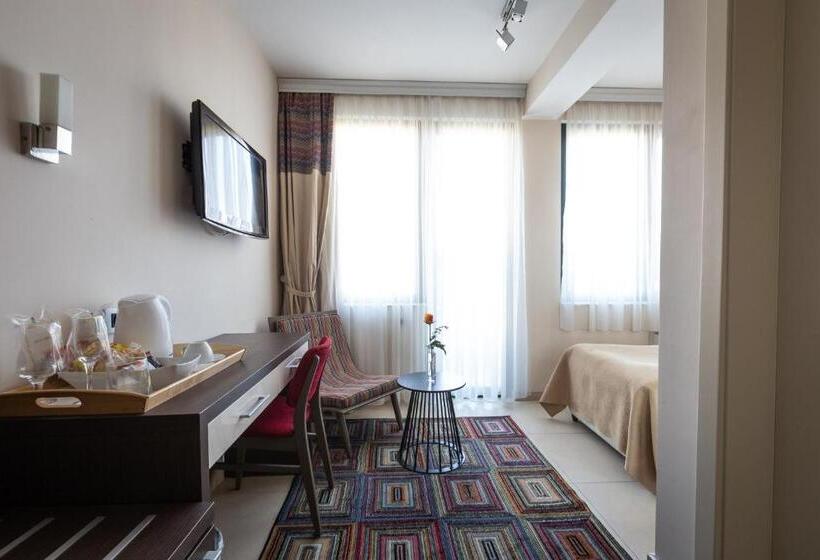 اتاق استاندارد یک نفره, Apollonia Hotel Gevgelija
