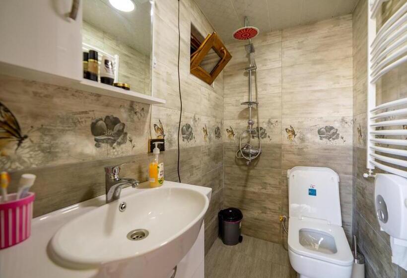 اتاق استاندارد یک نفره, Tsera House