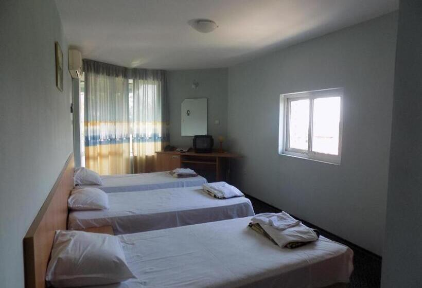 اتاق خانوادگی, Hostel Papagal