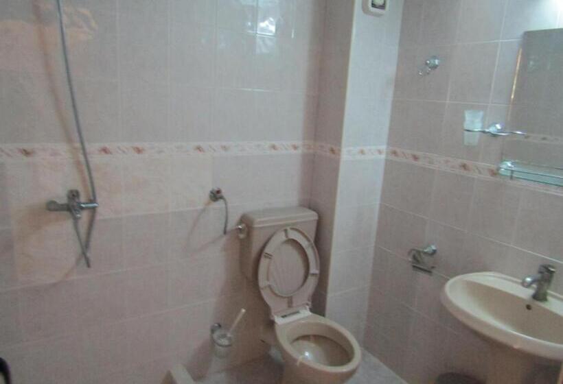 اتاق خانوادگی, Hostel Papagal