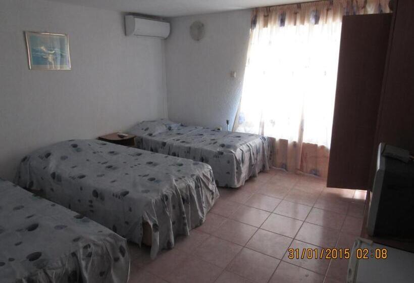 اتاق خانوادگی, Hostel Papagal