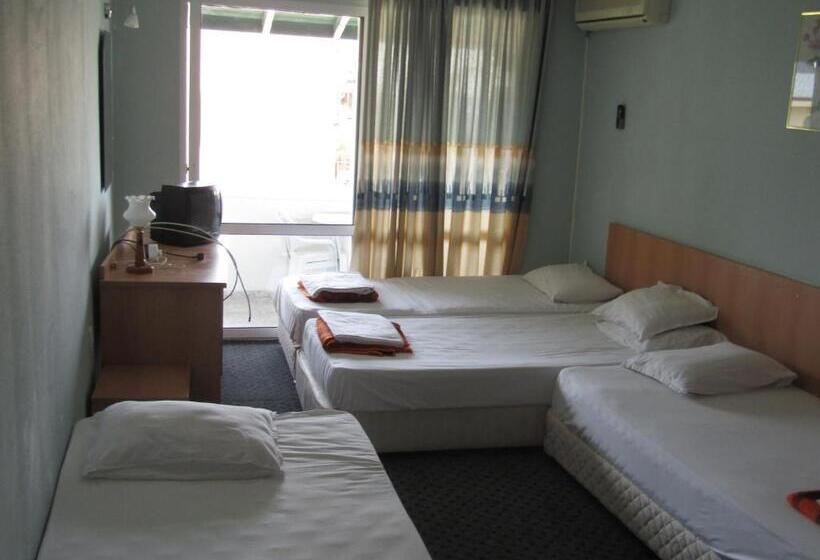 اتاق خانوادگی, Hostel Papagal