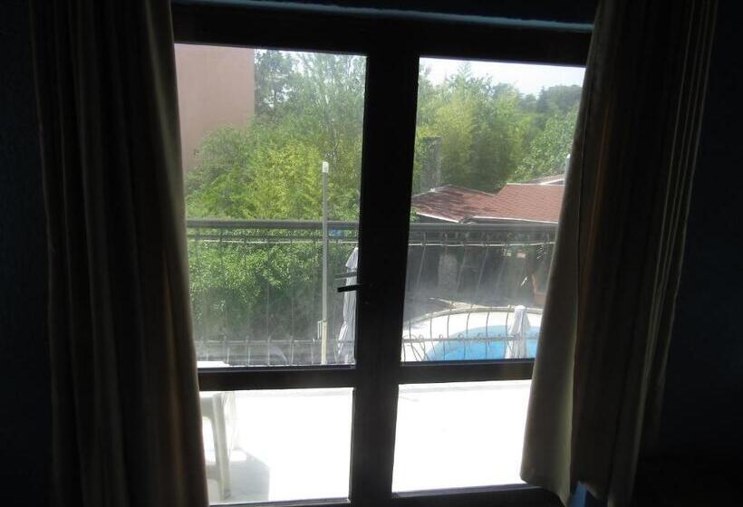 سوییت سوپریور, Hostel Papagal
