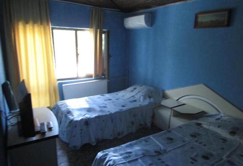 سوییت سوپریور, Hostel Papagal