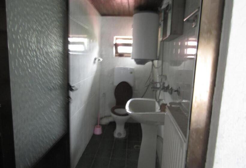 اتاق استاندارد, Hostel Papagal