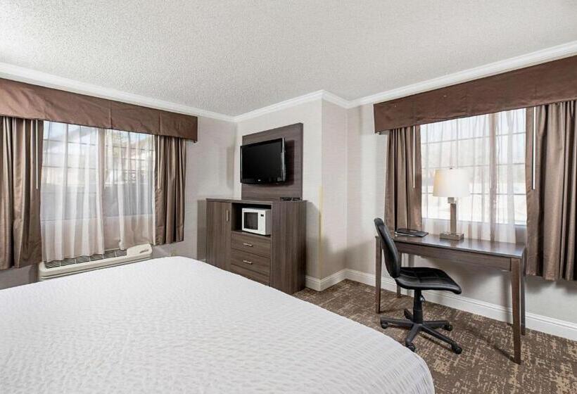 Standard Room King Bed Adapted for people with reduced mobility, Clarion Inn Silicon Valley