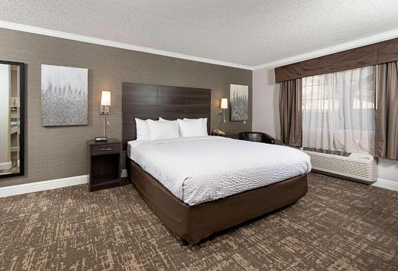 Standard Room King Bed Adapted for people with reduced mobility, Clarion Inn Silicon Valley