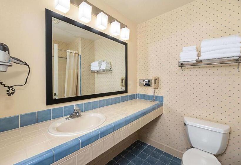 Standard Room Adapted for people with reduced mobility, Clarion Inn Silicon Valley