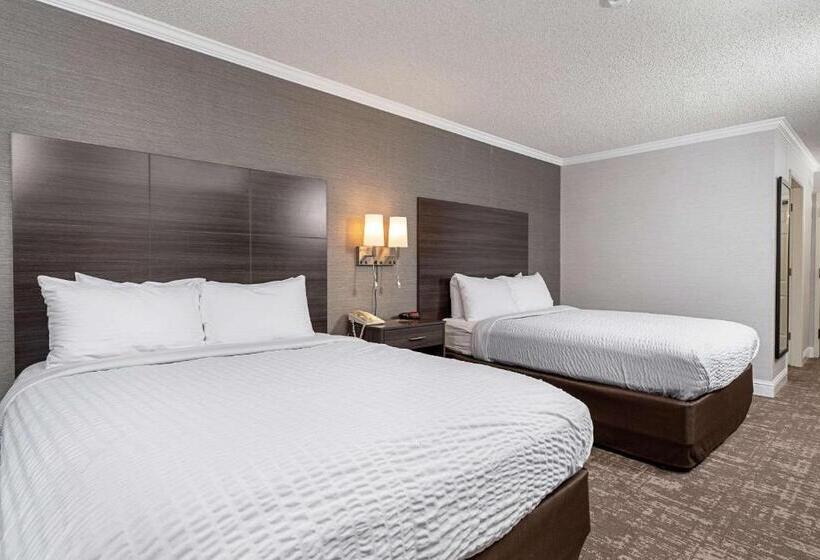 Standard Room Adapted for people with reduced mobility, Clarion Inn Silicon Valley