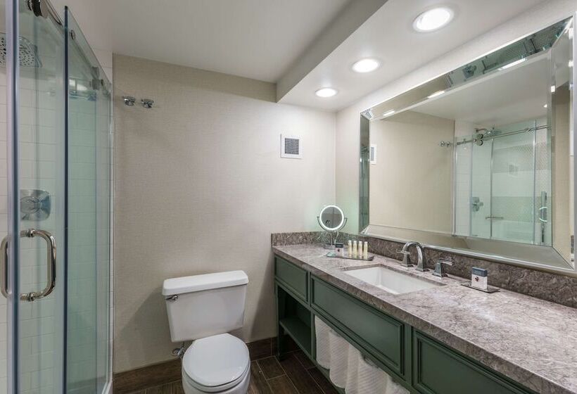 اتاق لوکس با بالکن, Doubletree By Hilton Gainesville