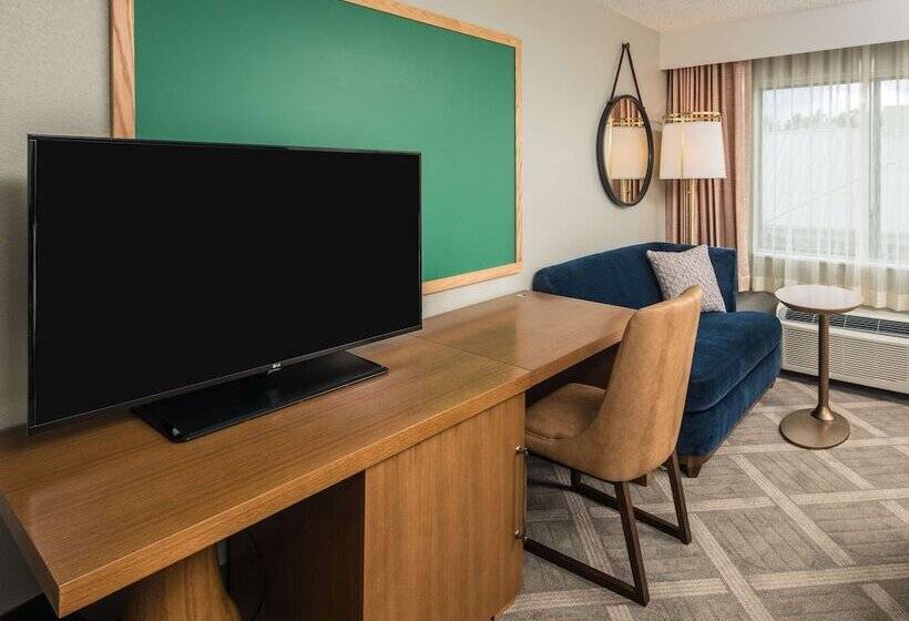 اتاق لوکس با بالکن, Doubletree By Hilton Gainesville