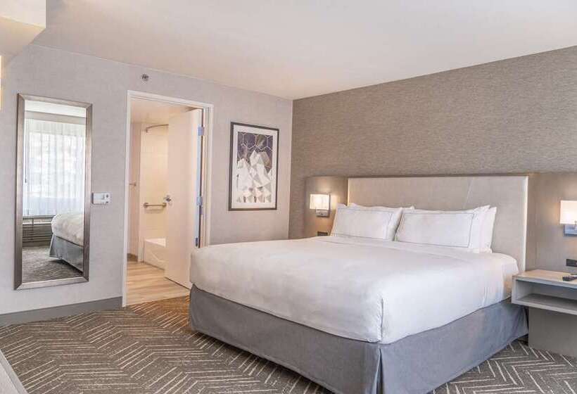اتاق استاندارد با تخت بزرگ, Doubletree By Hilton Gainesville