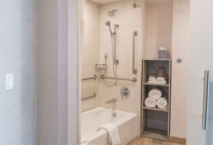 اتاق استاندارد با تخت بزرگ, Doubletree By Hilton Gainesville