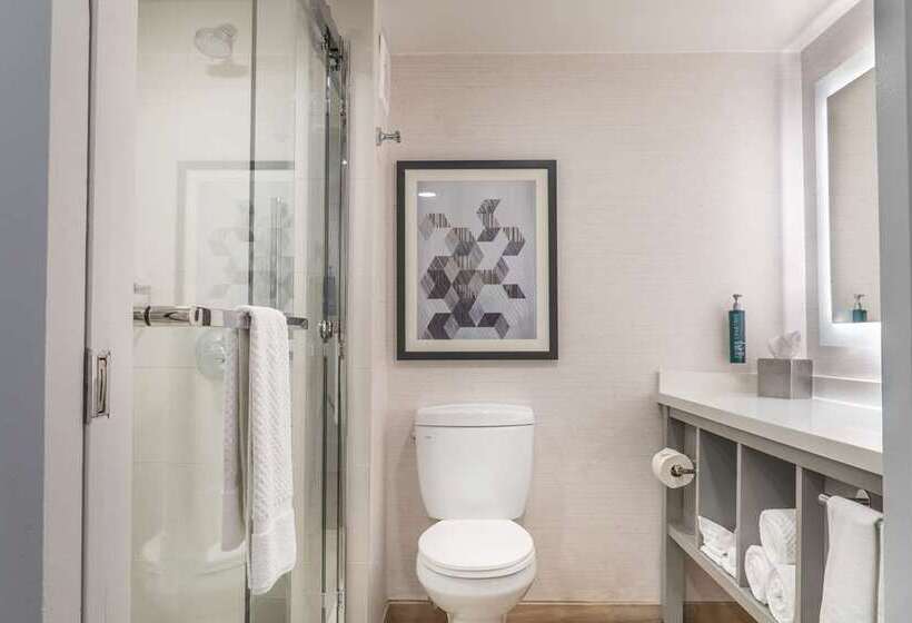 اتاق استاندارد با تخت بزرگ, Doubletree By Hilton Gainesville