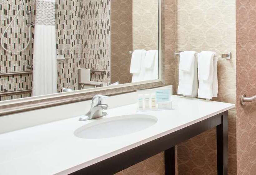 اتاق استاندارد با تخت بزرگ برای معلولان, Doubletree By Hilton Gainesville