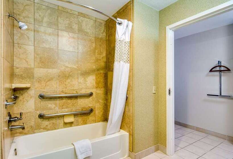 اتاق استاندارد با تخت بزرگ برای معلولان, Doubletree By Hilton Gainesville