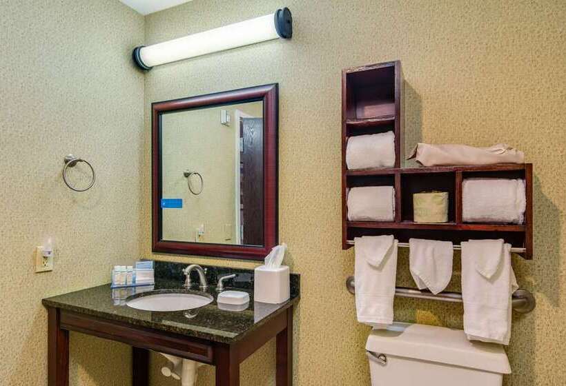 اتاق استاندارد با تخت بزرگ برای معلولان, Doubletree By Hilton Gainesville