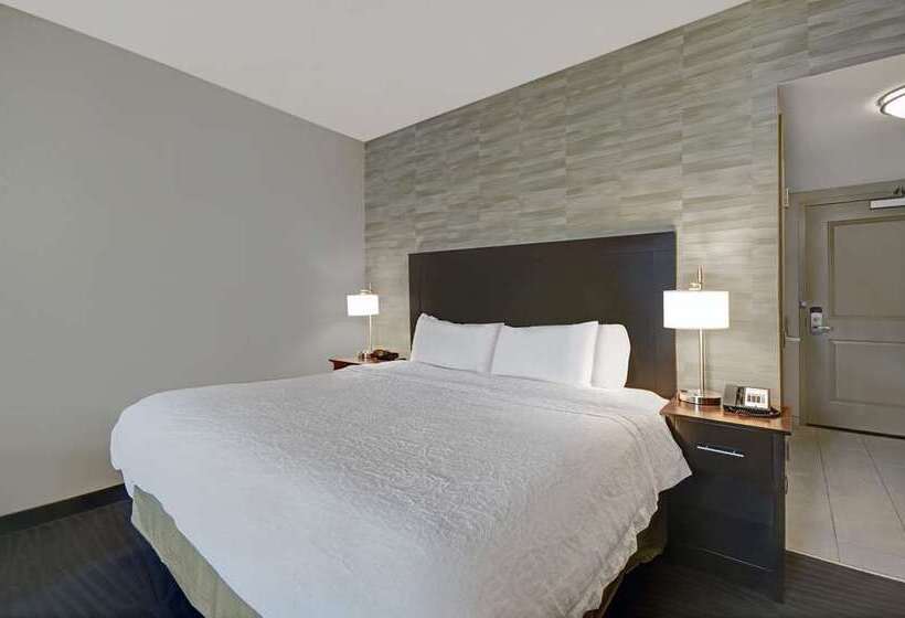 اتاق استاندارد, Doubletree By Hilton Gainesville
