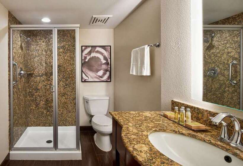 اتاق استاندارد با تخت بزرگ, Doubletree By Hilton Gainesville