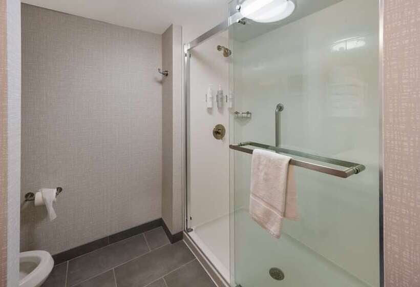 اتاق استاندارد با تخت بزرگ برای معلولان, Doubletree By Hilton Gainesville
