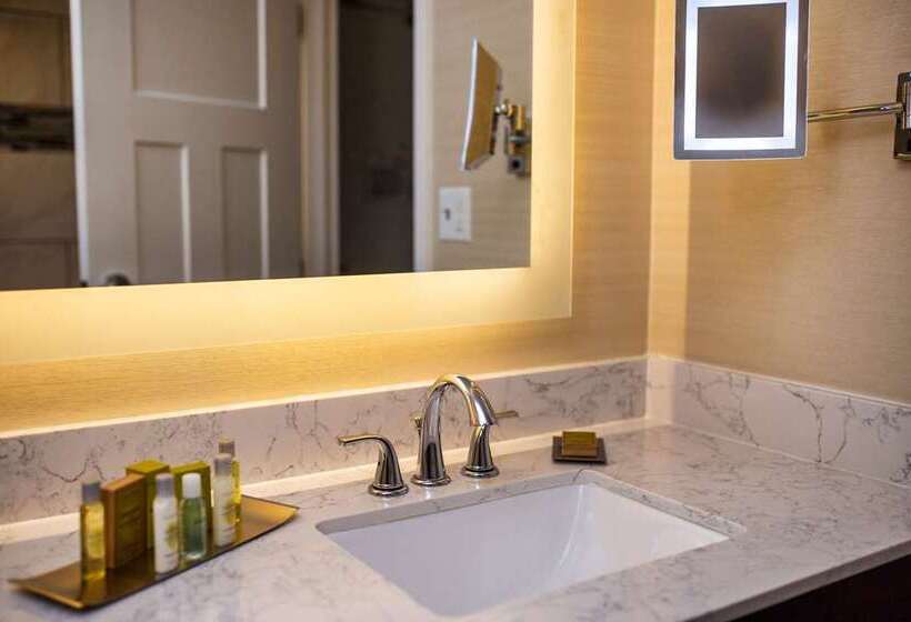 اتاق استاندارد با تخت بزرگ برای معلولان, Doubletree By Hilton Gainesville