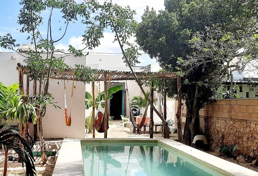 اتاق استاندارد, Guaya Hostel