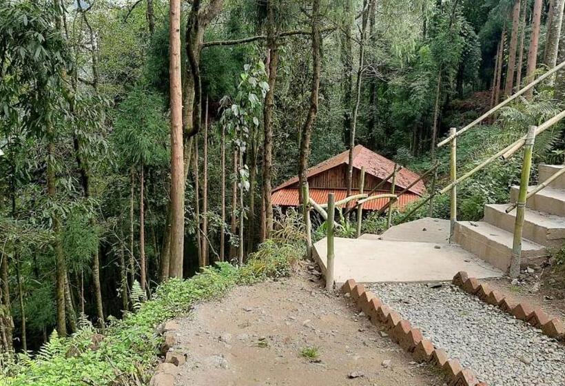 کلبه ییلاقی, Orion Retreat