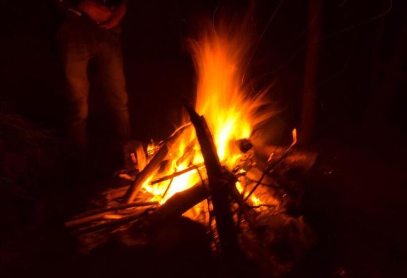 کلبه ییلاقی سوپریور یک خوابه, Orion Retreat