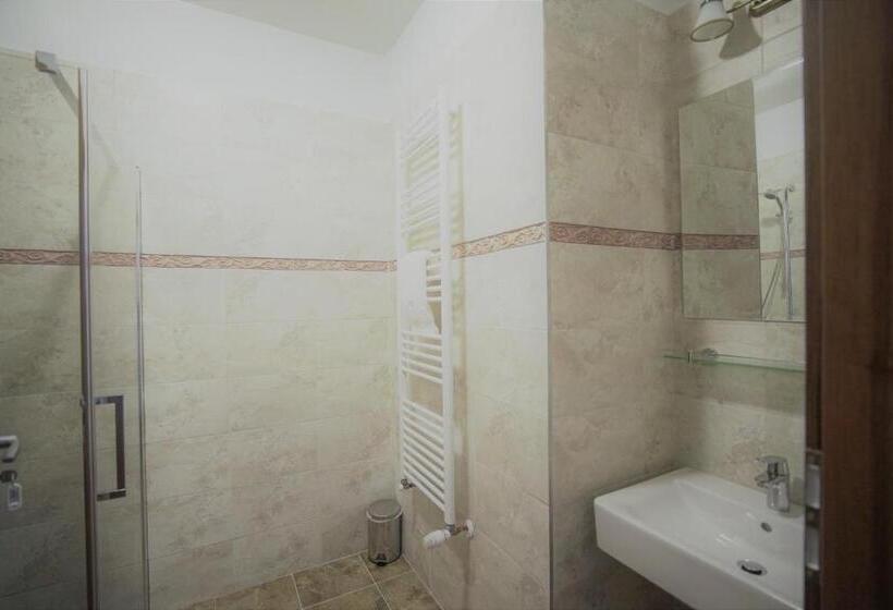 اتاق استاندارد, La Curtea Domneasca