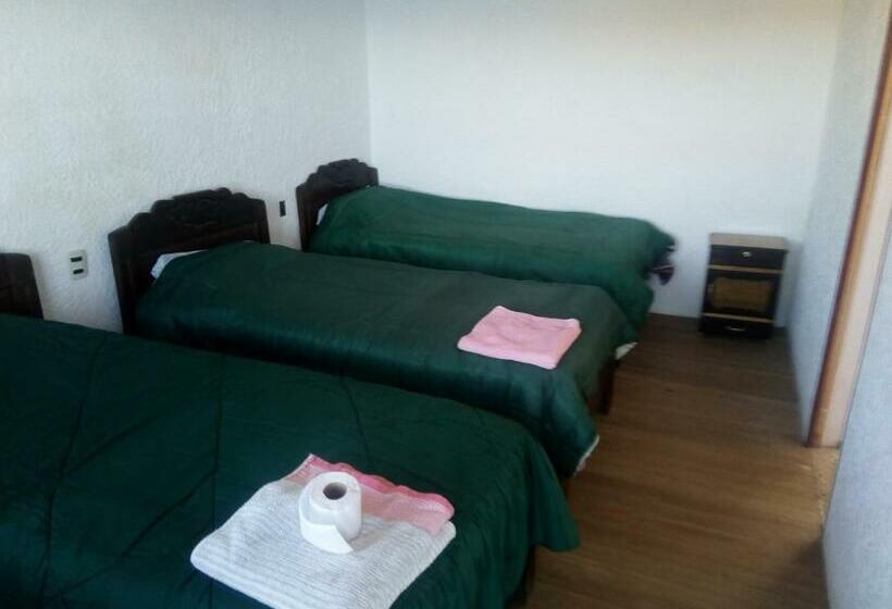 Standard Triple Room with Terrace, Las Cabañas Lodge