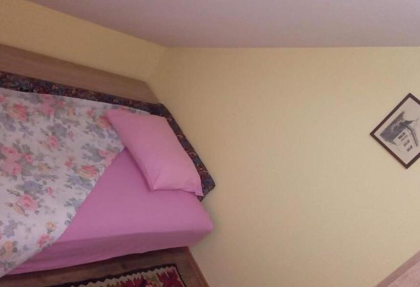 اتاق استاندارد یک نفره, Putnicka Kuca Kod Dragane