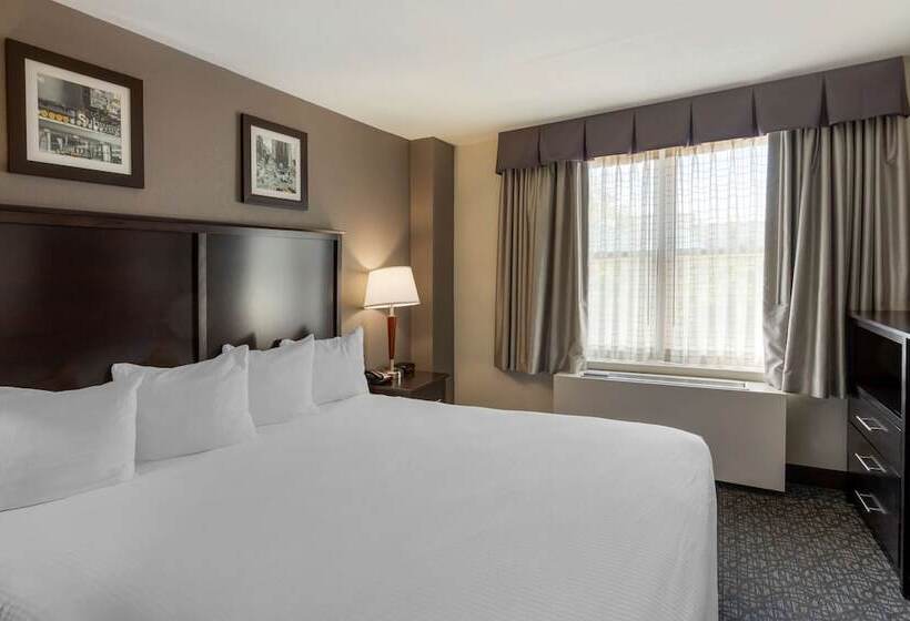 اتاق استاندارد با 2 تخت دوبل, Best Western Gregory