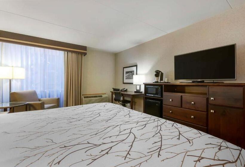 اتاق استاندارد با تخت بزرگ برای معلولان, Best Western Plus Coeur D'alene Inn