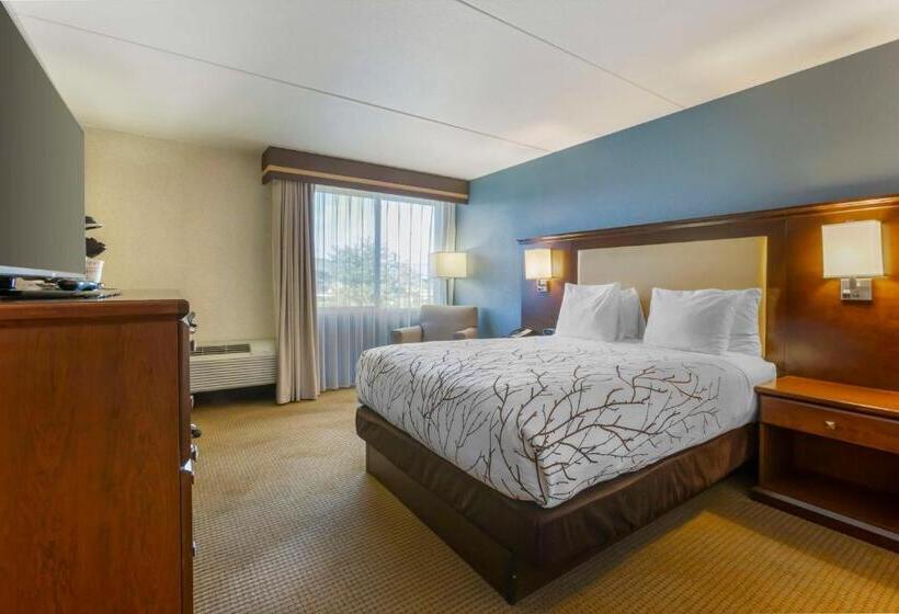 اتاق استاندارد برای معلولان, Best Western Plus Coeur D'alene Inn