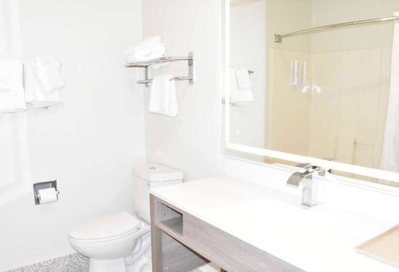 اتاق استاندارد با 2 تخت دوبل, Clarion Pointe Vidalia  Lyons West