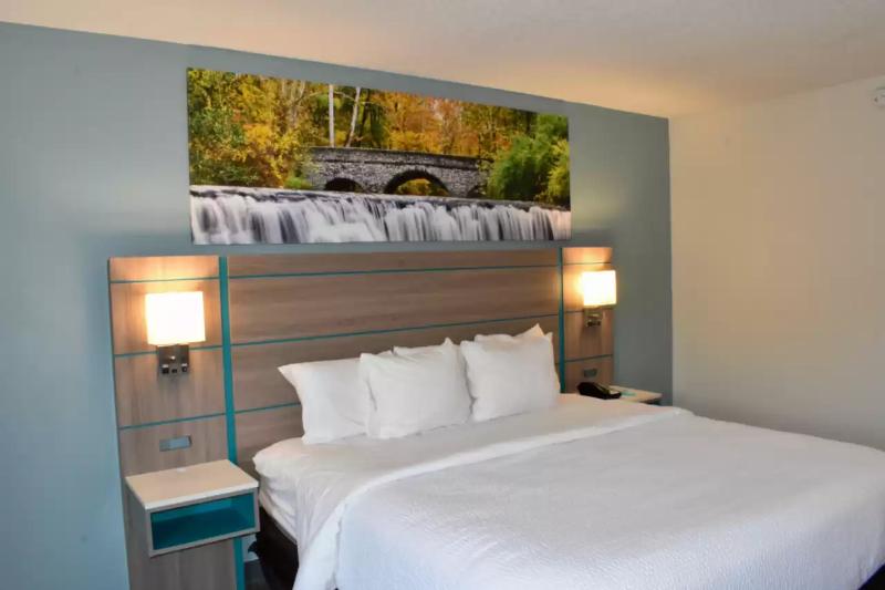 اتاق استاندارد با تخت بزرگ, Clarion Pointe Vidalia  Lyons West