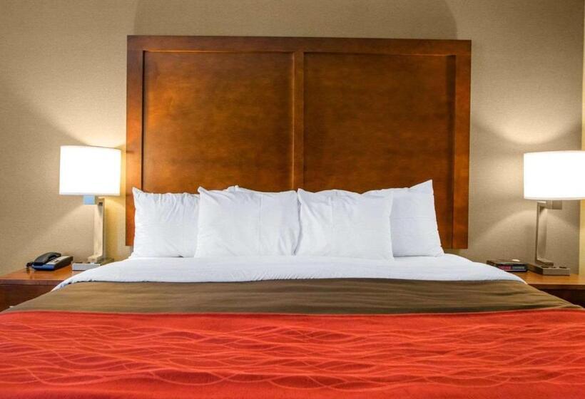 身障者適用キングサイズベッドルーム, Comfort Inn Dayton  Huber Heights