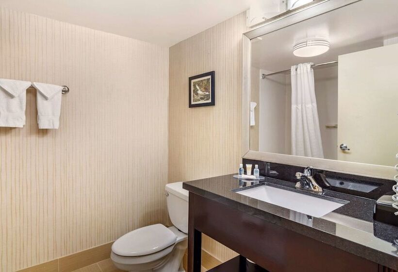 اتاق استاندارد با 2 تخت دوبل, Comfort Inn Douglasville  Atlanta West