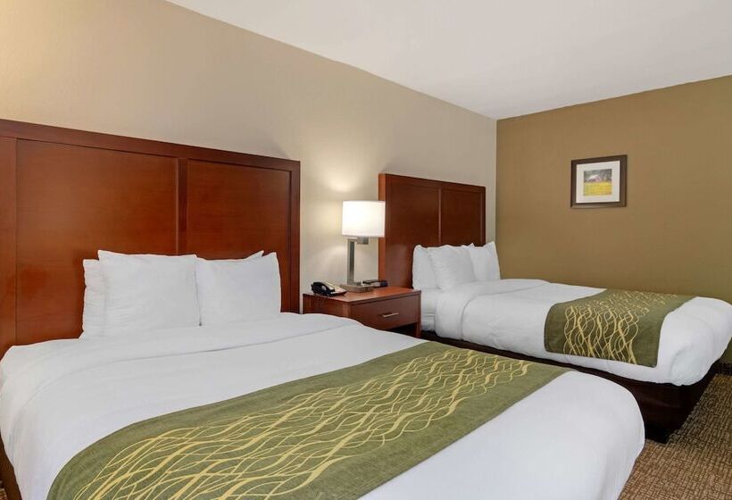 غرفه قياسيه سريرين مزدوجين, Comfort Inn Douglasville  Atlanta West