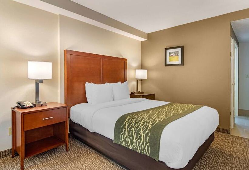 غرفه قياسيه سريرين مزدوجين, Comfort Inn Douglasville  Atlanta West