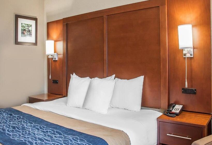 اتاق استاندارد با تخت بزرگ, Comfort Inn
