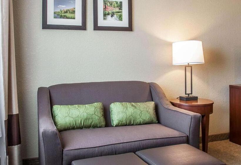 اتاق استاندارد اینتریور, Comfort Inn